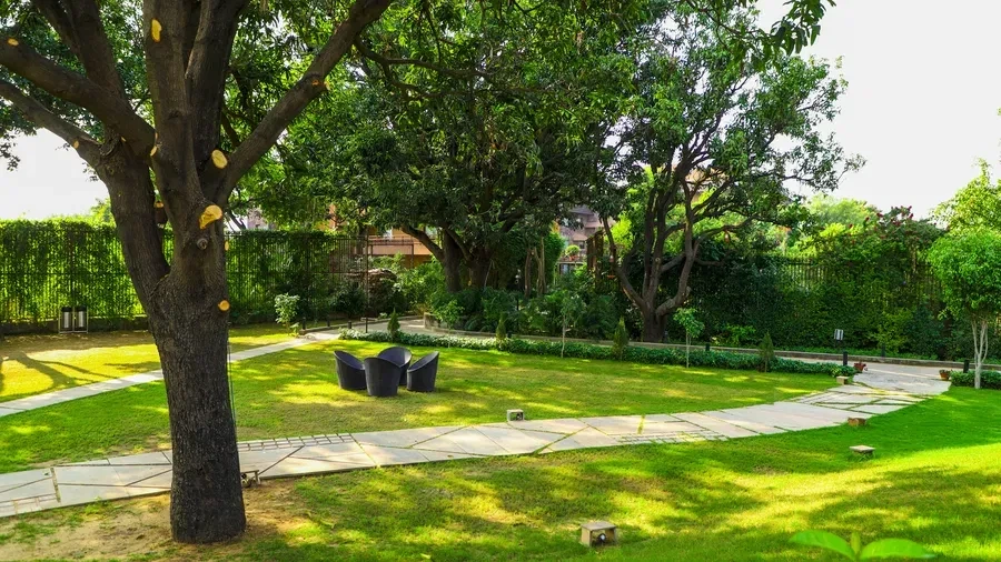 Wedding Planner in Chandigarh